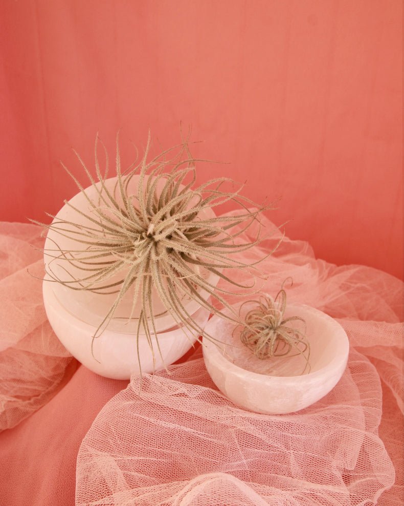 Hand Carved Selenite Bowl