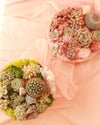 *Magical* Succulent Bowl thumbnail 3