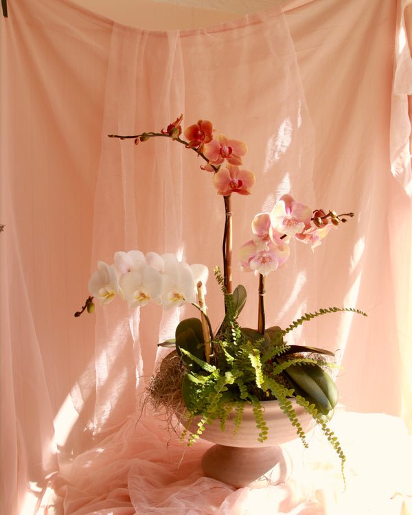 Rococo Orchid Bowl image 2