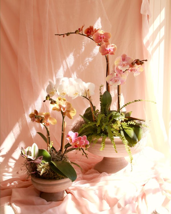 Rococo Orchid Bowl image 1