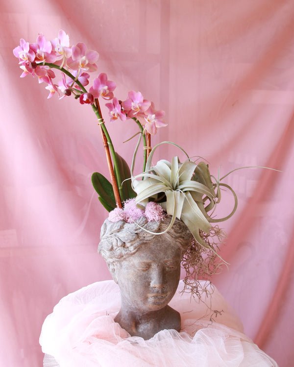 The Wisdom Planter image 1